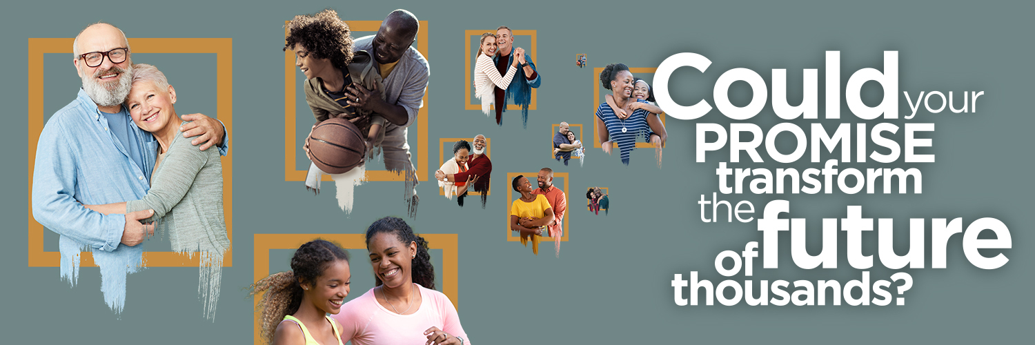 Promise Study banner