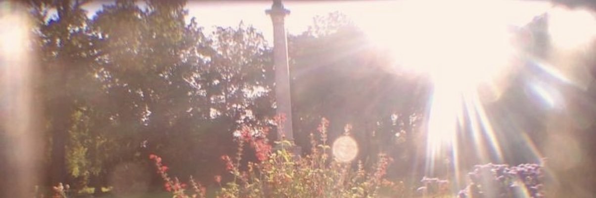 EtherealIlya's profile banner image