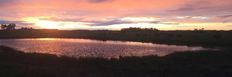MissBanack's profile banner image