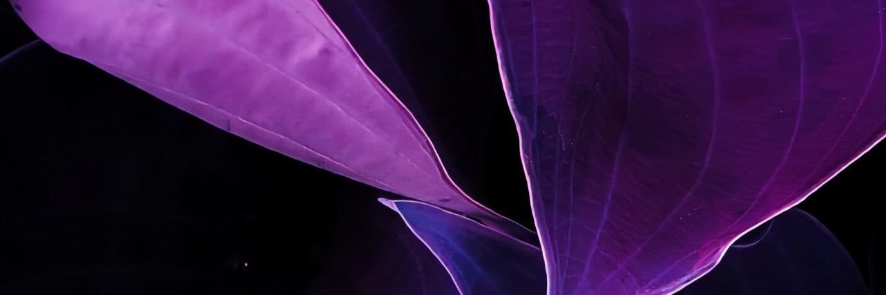 ggarc67's profile banner image