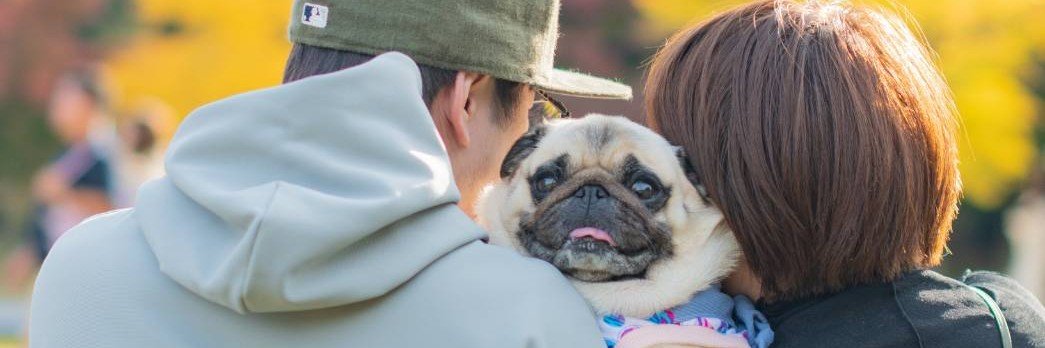 PUGTISLAND's profile banner image