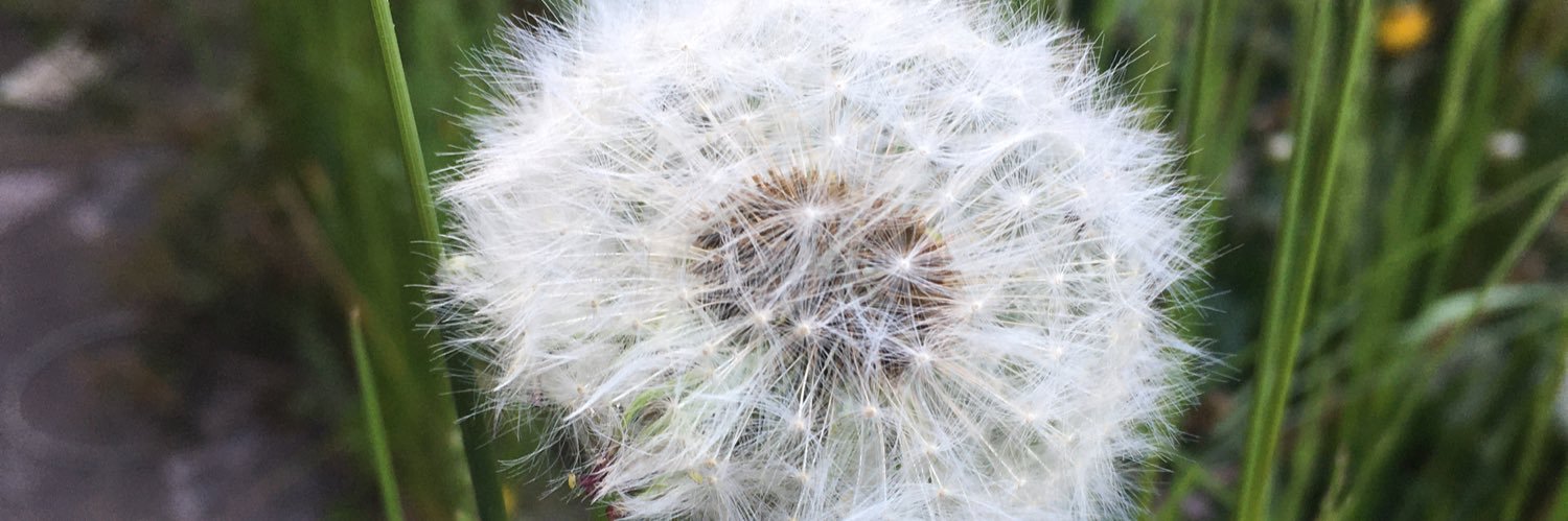 León Felipe Téllez banner