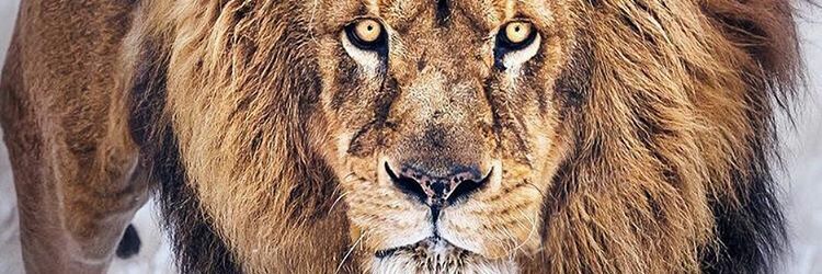 MohdBasld's profile banner image