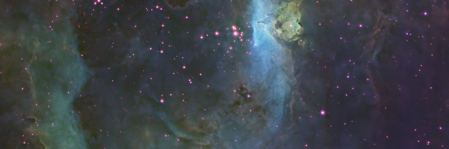 🌈🌸 banner