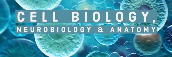MCW_CBNA Profile Banner