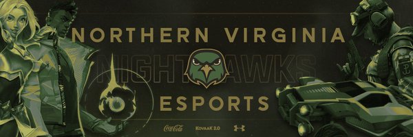 NOVA Nighthawks Esports Profile Banner