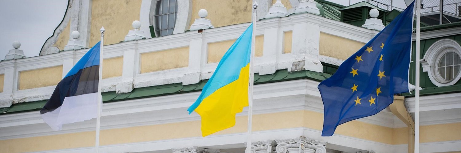 Heli Tiirmaa-Klaar banner