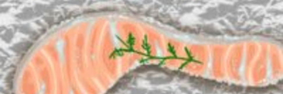 紫靂せちる🦊📚🧤ノベルゲーム中心創作アカウント✨✨ banner