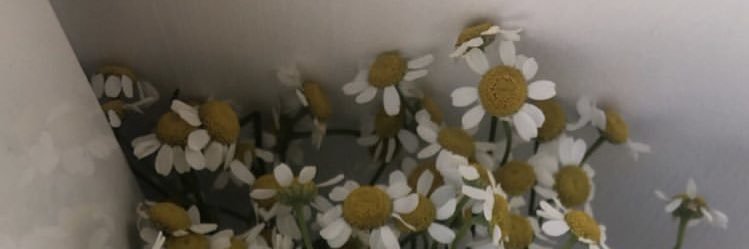 najd_a1994's profile banner image