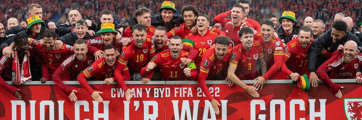 Loki Bluebird banner