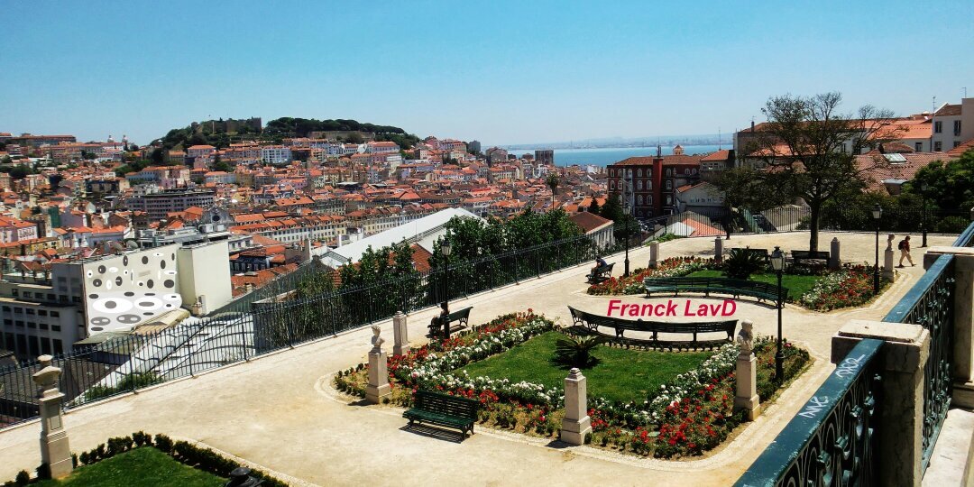 franckplavd's profile banner image