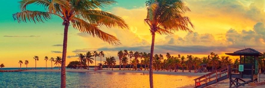 maurod89's profile banner image