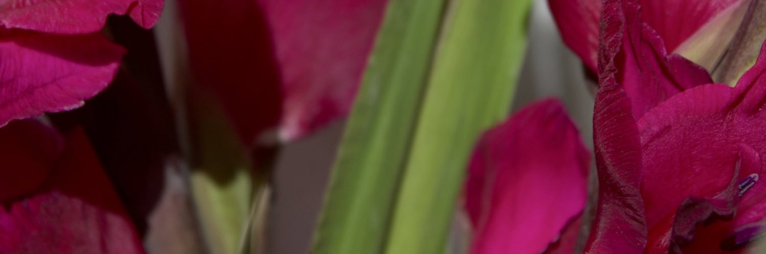catherine 💐 banner