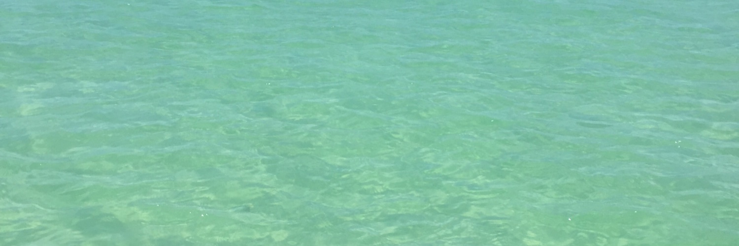 Rufkm🇺🇸🦅 banner