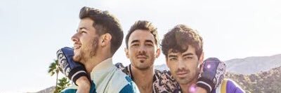 F E R banner