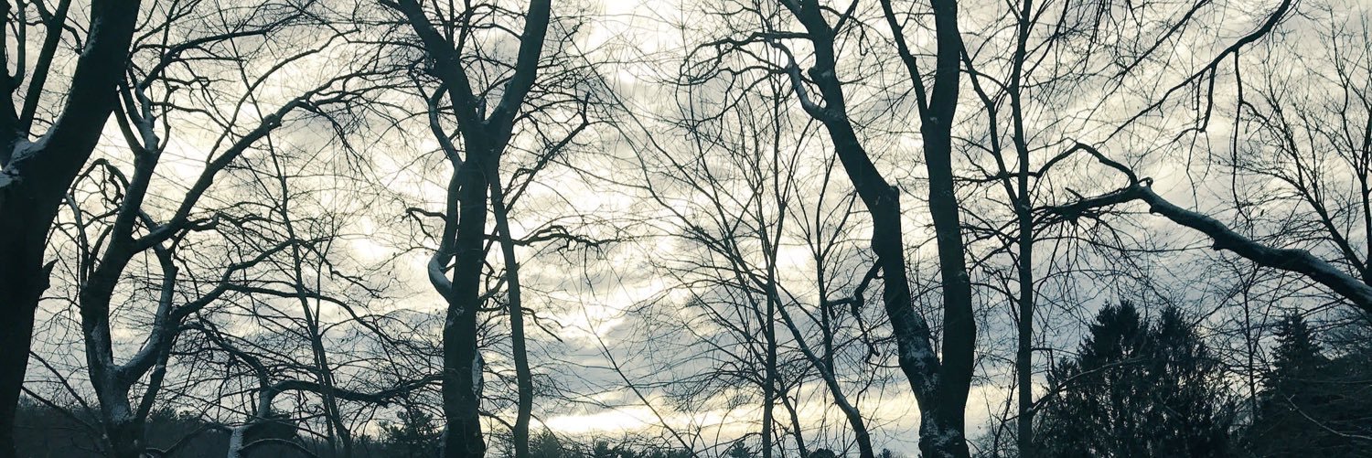CJGG__'s profile banner image