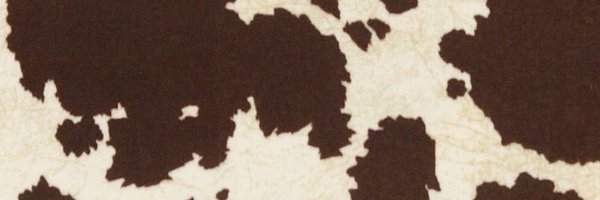 BourbeauClancy Profile Banner