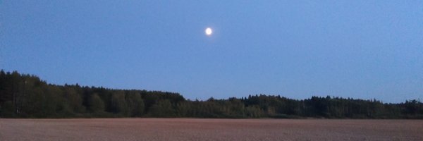 Sergeant_LiS Profile Banner