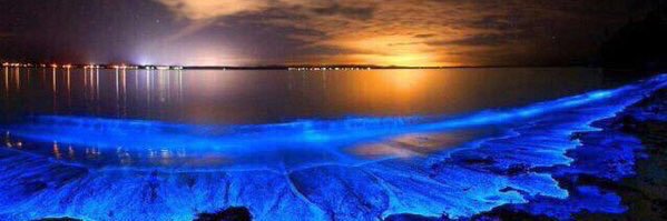 GJ_Official_'s profile banner image