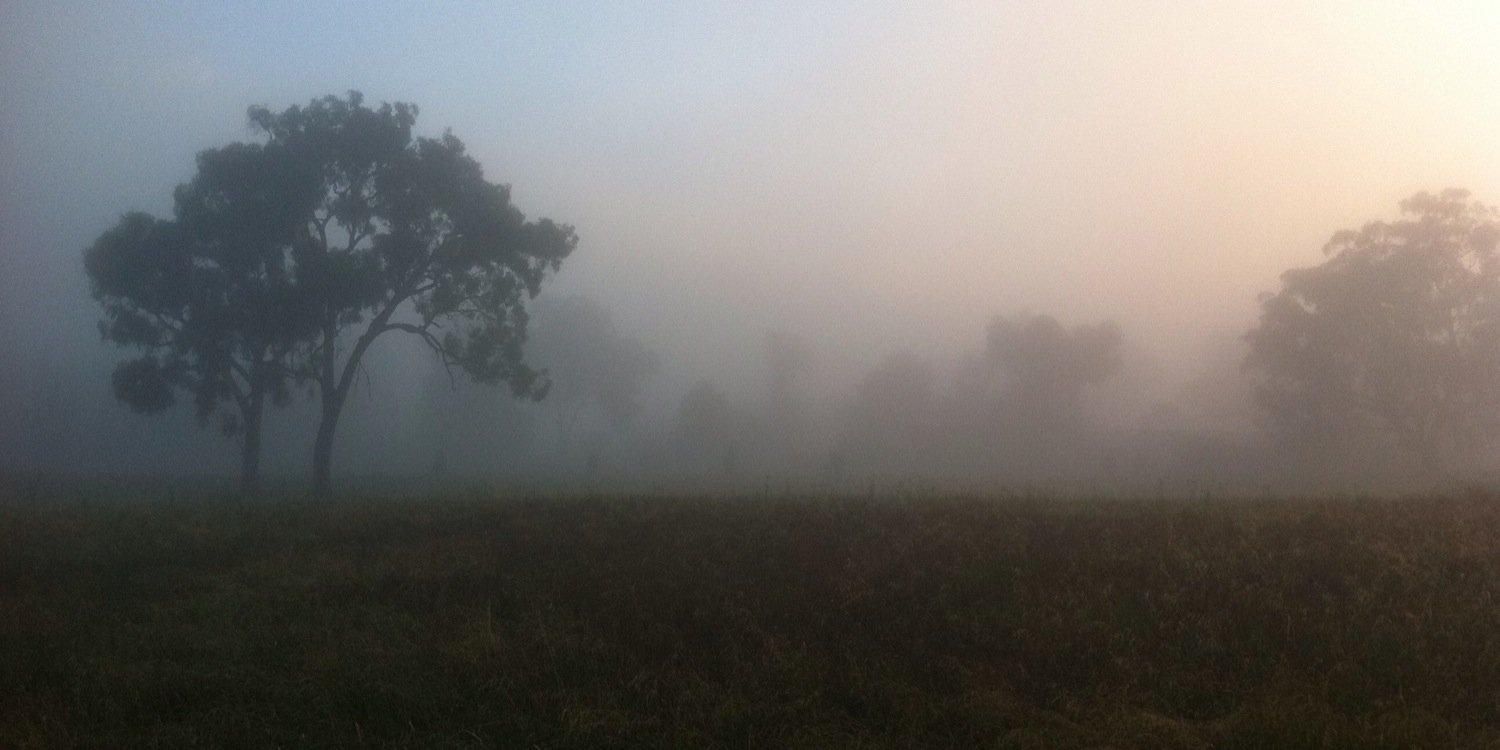 James Stormon banner