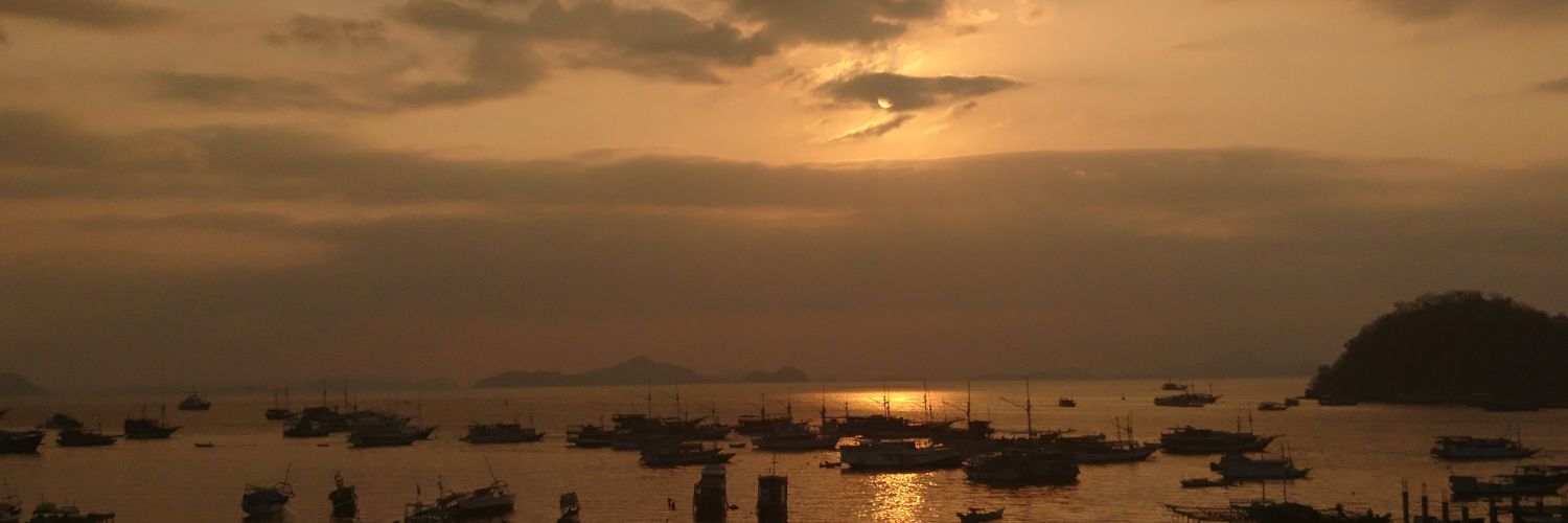 oktho's profile banner image