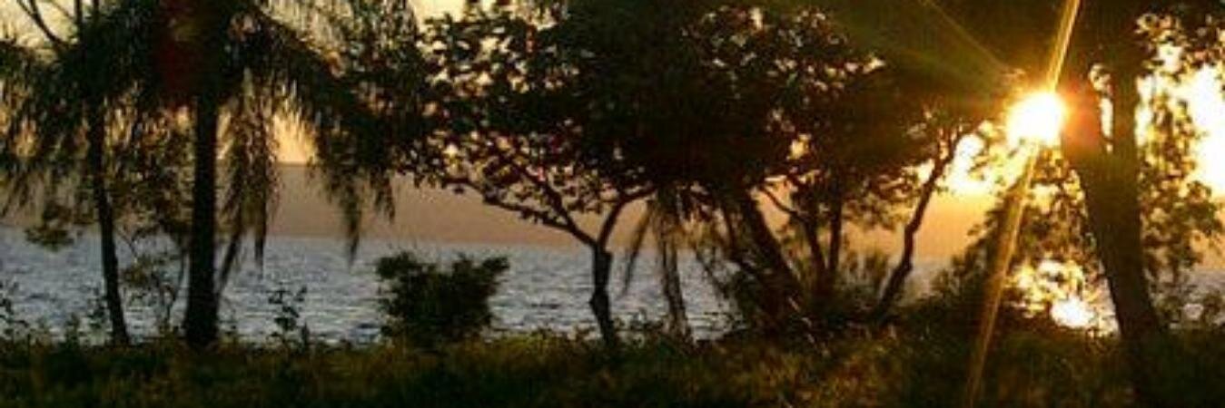 celso_80's profile banner image