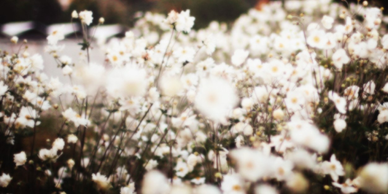 believe banner