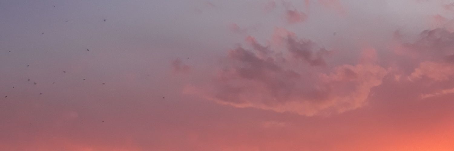 apinkjoeng's profile banner image