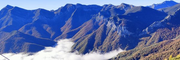 Dracmall Profile Banner