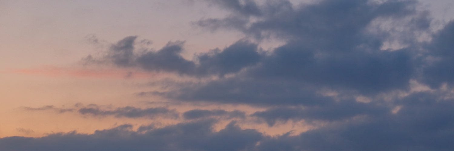 pepermint89's profile banner image