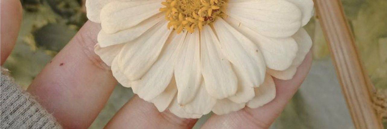 jasmin7an's profile banner image