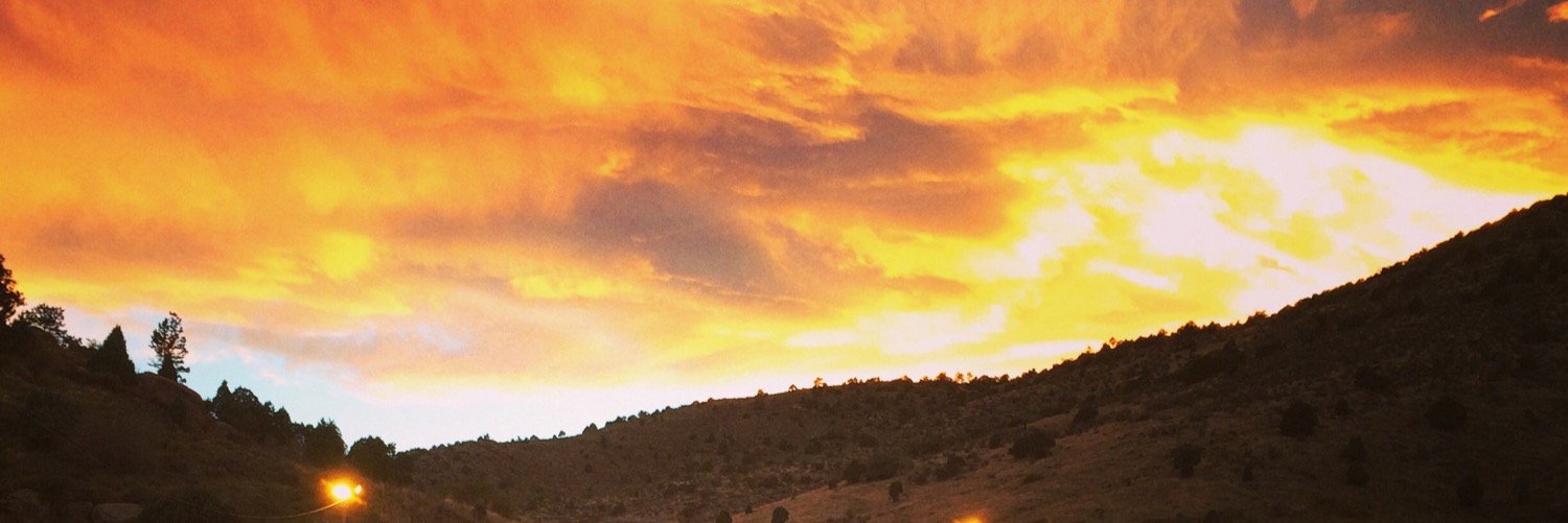 DamnRinger's profile banner image