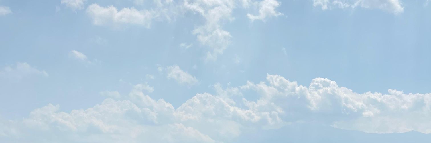 nviekaa's profile banner image