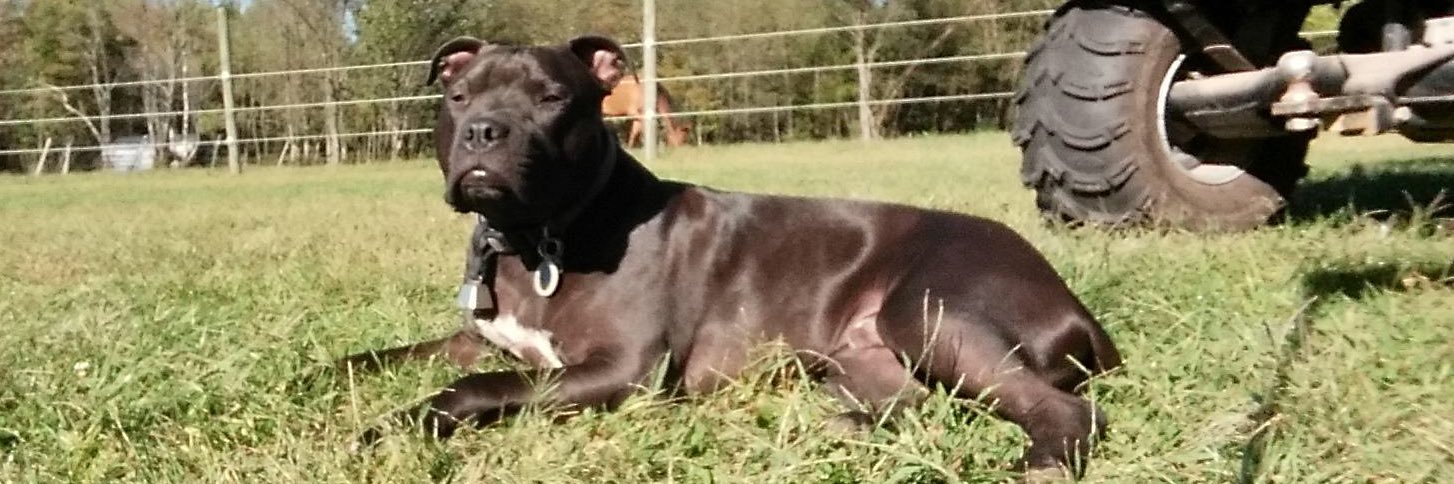 Chance Marshall banner