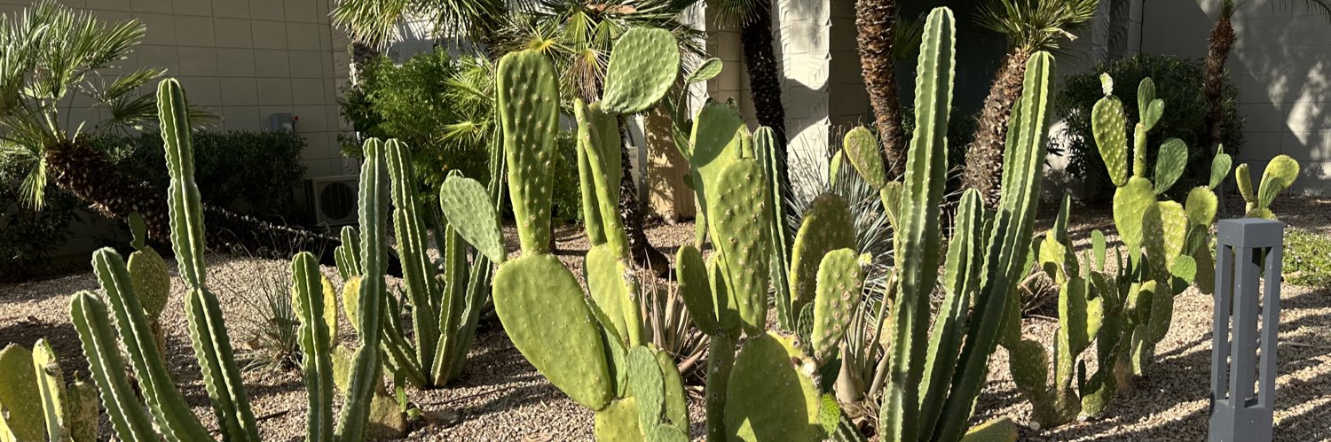 Marissa Thomas banner