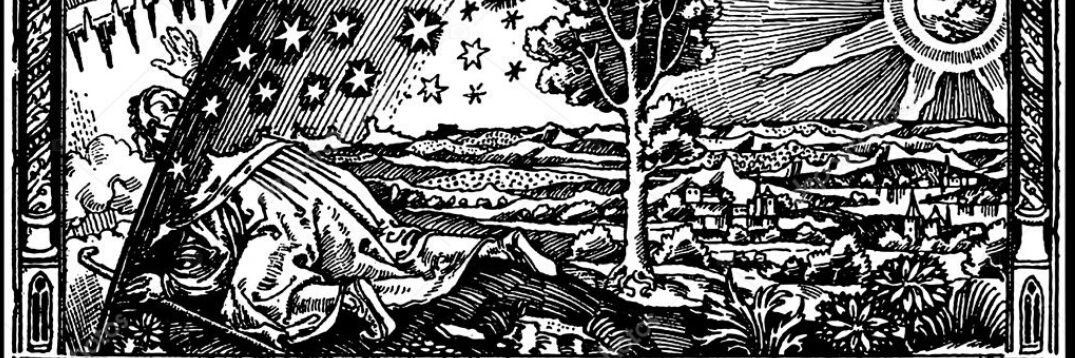 Neto 🌹🕊🌹PAZ صلح PAIX мир 平和 BARIŞ سلام 평화 शांति banner