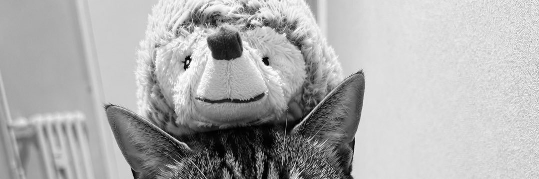 vlnsalom's profile banner image