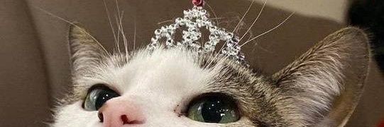 Büşra℘ banner