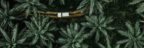 rediscover231 Profile Banner