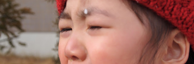 nopann's profile banner image