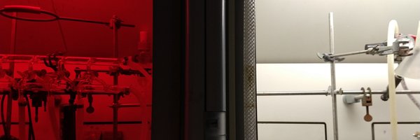 zibilab Profile Banner