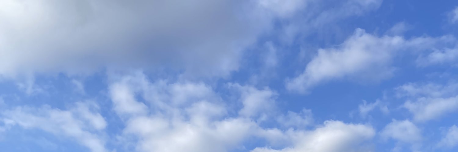 tori_veee's profile banner image