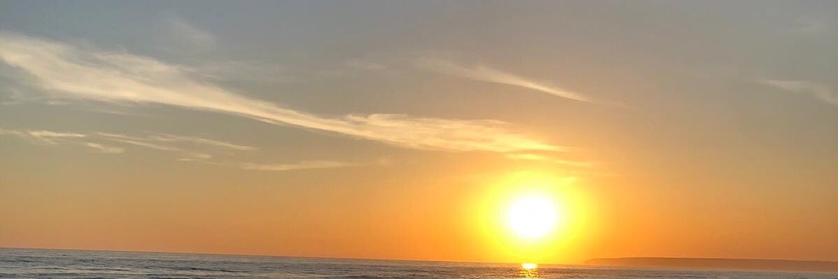 florasb1995's profile banner image