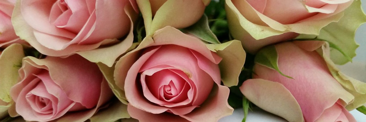 Mazzuraaa's profile banner image