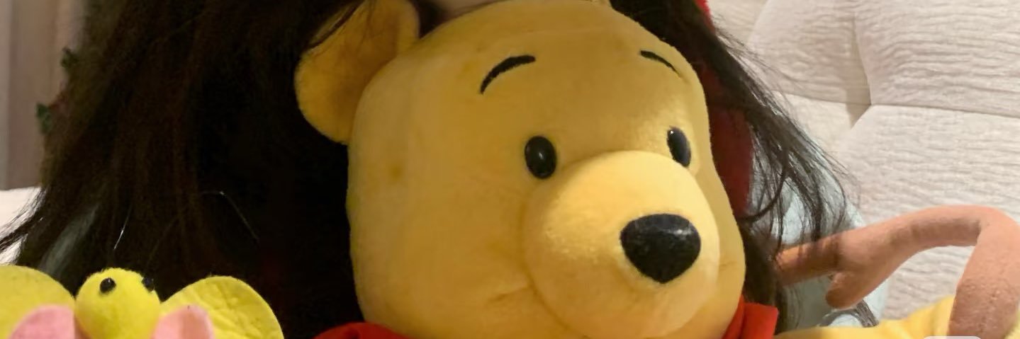 AriArline's profile banner image