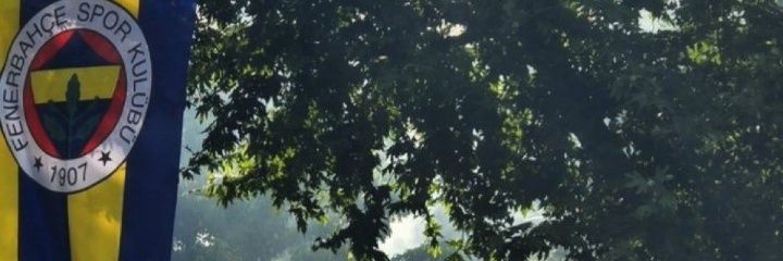 SertapTanik's profile banner image