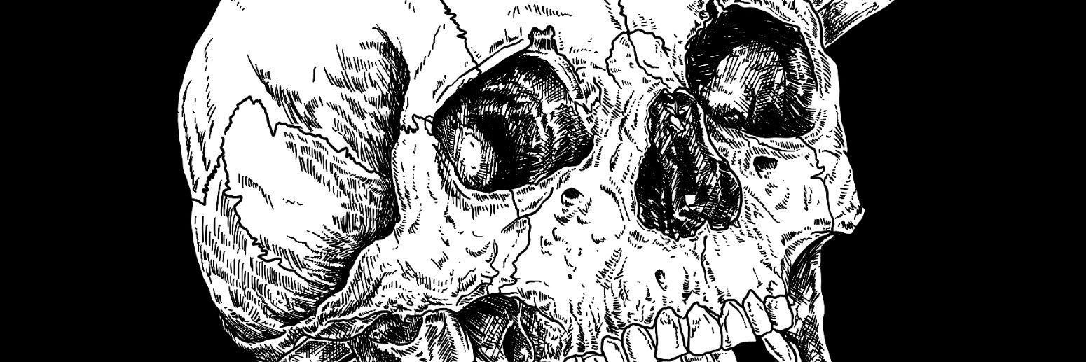 pigcuts's profile banner image