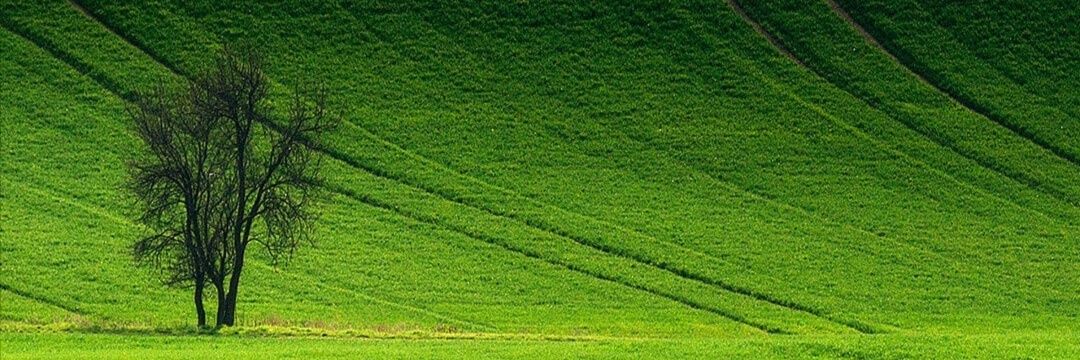 masfulv's profile banner image