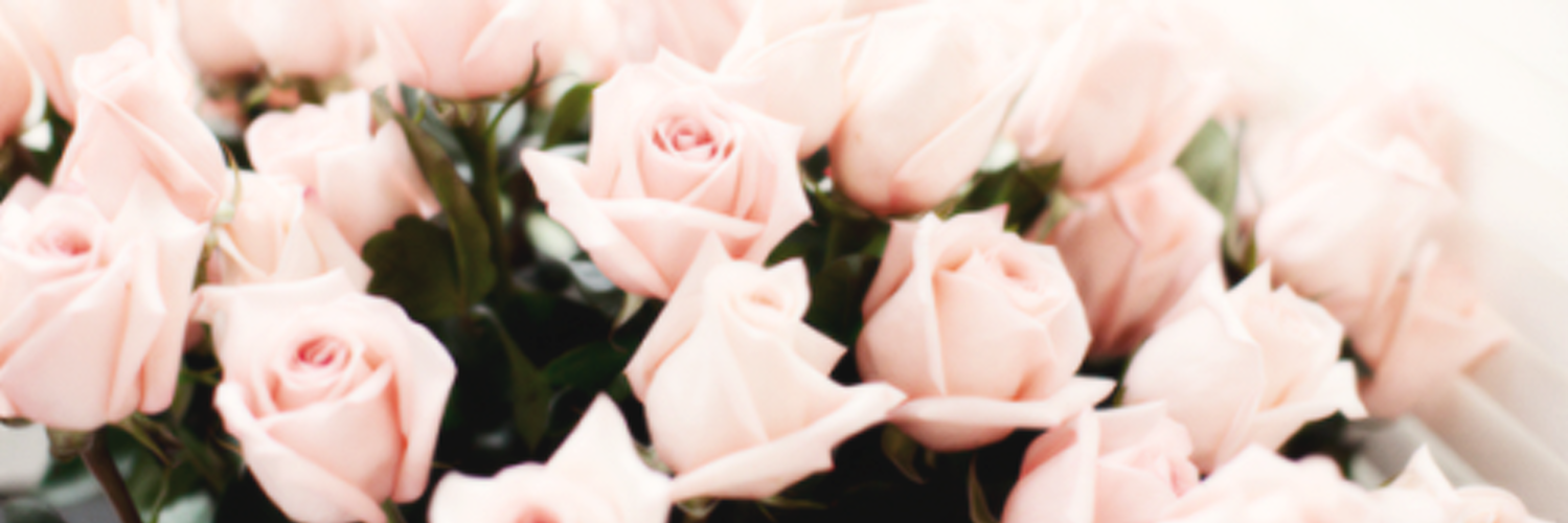 raqueldescalzo's profile banner image