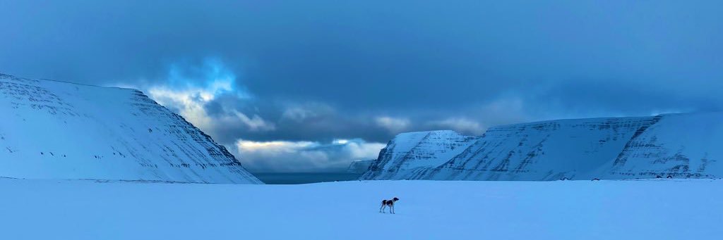 Þorsteinn Másson banner